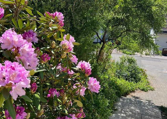 Διαμέρισμα Charmante Doppelhaushaelfte Mit Geraeumiger Und Sonnenterrasse In