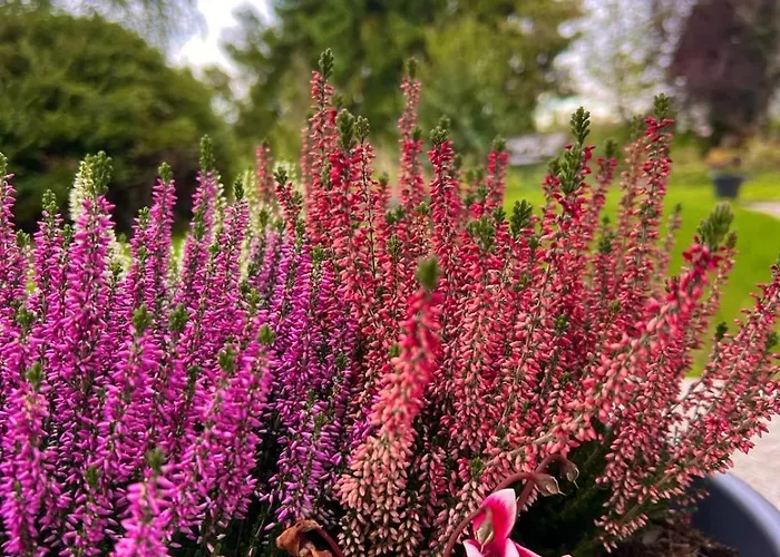 Διαμέρισμα Charmante Doppelhaushaelfte Mit Geraeumiger Und Sonnenterrasse In *